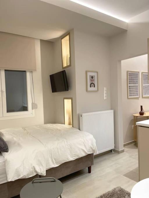 Apartment Platonos Premium